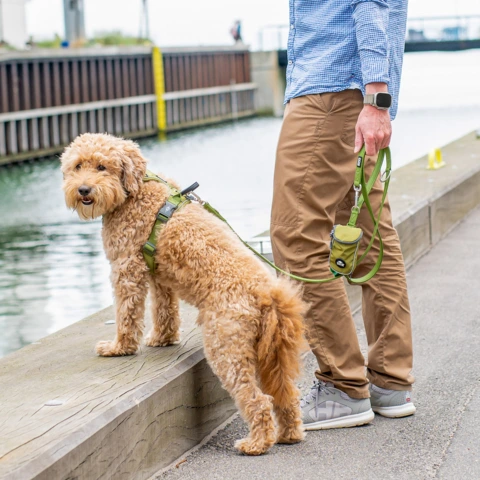 Dog Copenhagen Urban Classic™ Hundesnor